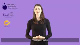 Learn Basic Greetings in British Sign Language BSL [upl. by Beore]