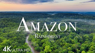 Amazon in 4K  The World’s Largest Tropical Rainforest  Aerial Drone  Scenic Relaxation Film [upl. by Oiramrej]