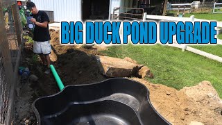 EASY DUCK POND BUILD WITH DRAIN for CLEANING  Part 1 [upl. by Aehc]