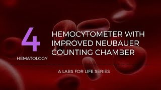 Hemocytometer with improved Neubauer Counting Chamber [upl. by Riti987]