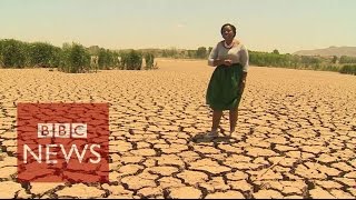 Worst drought in 30 years hits Sout Africa  BBC News [upl. by Meuse]