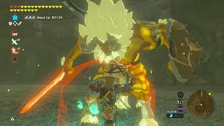 GOLD LYNEL FIGHT NO DAMAGE  Zelda Breath of the Wild [upl. by Brittain]