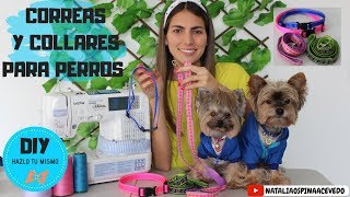 Correas y collares para perros  Hazlo tu mismo  DIY [upl. by Chancey964]