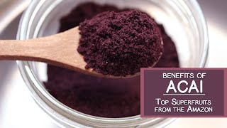 Benefits of Acai One of the Top Fruits from the Amazon [upl. by Nailuj255]