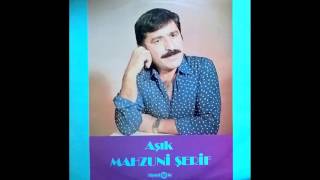 Aşık Mahzuni Şerif  Deli Miyim Ben [upl. by Mad860]