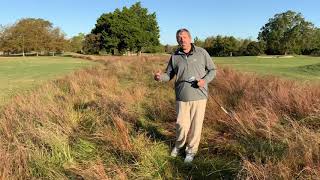 Penalty Areas  What are your options and how to take relief  USGA Rules 171 explained [upl. by Iniffit]