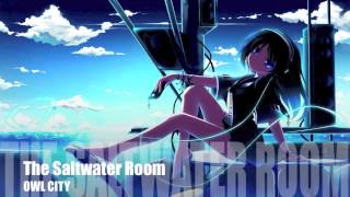 Owl City  The Saltwater Room Nightcore [upl. by Ecyarg]