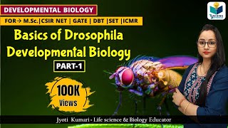 DEVELOPMENTAL BIOLOGY OF DROSOPHILA PART1  CSIR NET LIFESCIENCE  IMPORTANT [upl. by Jeno]