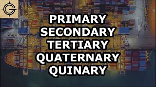 5 Economic Sectors  Primary Secondary Tertiary Quaternary amp Quinary [upl. by Cohla398]