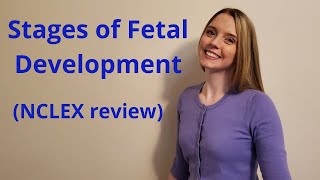 THE STAGES OF FETAL DEVELOPMENT  NCLEX REVIEW [upl. by Zakaria]