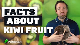 Top 7 Facts About Kiwi Fruit [upl. by Cordie702]