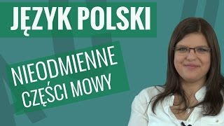 Język polski  Nieodmienne części mowy [upl. by Eartnoed]