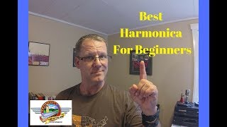 Best Harmonica For Beginners [upl. by Hume]