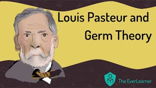 Louis Pasteur and Germ Theory [upl. by Isnan]