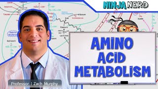 Essential vs NonEssential Amino Acids Explained [upl. by Lara]