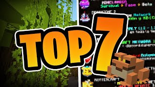 TOP 7 Servidores para jugar Minecraft 1193 Java y Bedrock [upl. by Charo]