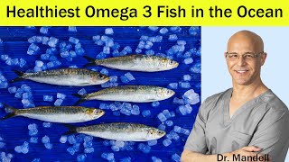 Heart HealthyPrevent Clogged ArteriesBEST Omega 3 Fish in the Ocean  Dr Mandell [upl. by Alodi]