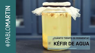 ¿CUÁNTO TIEMPO SE FERMENTA EL KÉFIR [upl. by Adnorahc]