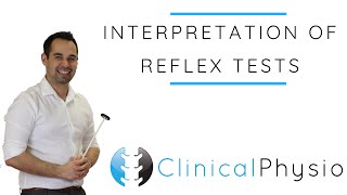 Interpretation of Reflex Tests  Clinical Physio [upl. by Ayala967]