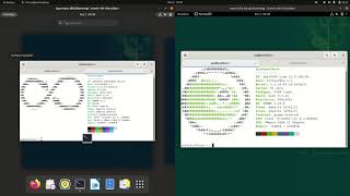 OpenSUSE Tumleweed vs OpenSUSE Leap [upl. by Yort]