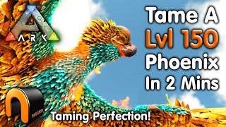 Ark THE BEST WAY EVER TO TAME A PHOENIX How To Tame A Phoenix SOLO Ark [upl. by Marcille159]