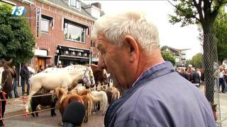 Paardenmarkt Elst [upl. by Boyse440]