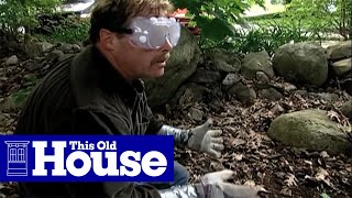 How to Clear Poison Ivy  This Old House [upl. by Anytsirk894]