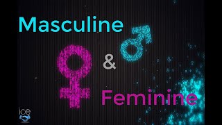 Masculine and Feminine Cultures [upl. by Einittirb]