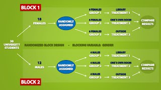 Types of Experimental Designs 33 [upl. by Eiznekcm]