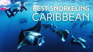 BEST SNORKELING Locations in the Caribbean [upl. by Forras648]