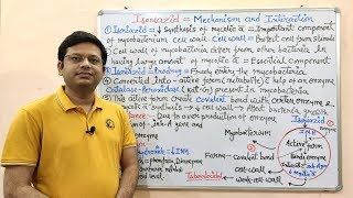 Antitubercular Drug Part03 Isoniazid  Mechanism of Action of Isoniazid  Isoniazid  Anti TB [upl. by Drawd107]