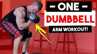 10 Min ONE Dumbbell Only At Home Arm Workout Workouts With ONE Dumbbell  Biceps amp Triceps Workout [upl. by Thelma995]