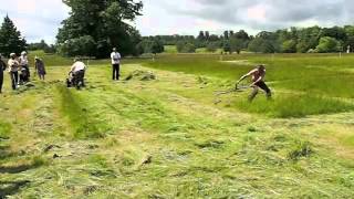 BCS mower vs scythe 2012 [upl. by Sirtimed]