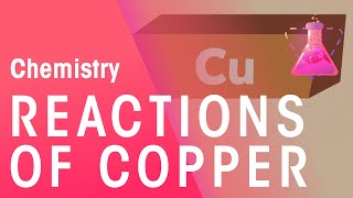 Reactions Of Copper  Reactions  Chemistry  FuseSchool [upl. by Nitsud358]