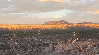 Ecosystems and drought [upl. by Hailey]