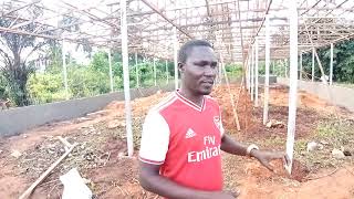 How to Build a 5000 Capacity Poultry House for Broilers [upl. by Jamin]