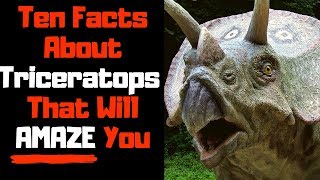 Triceratops Facts for Kids  Triceratops Facts Video [upl. by Enneiviv]