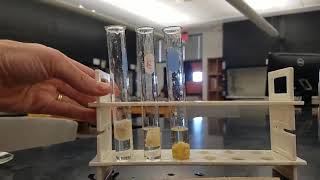 Lab 14 Enzyme activity experiment [upl. by Crista924]