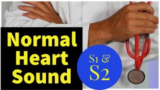 Normal S1 and S2 Heart Sounds With Explanation [upl. by Nnanaej]