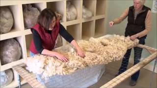 How to Skirt an Alpaca Fleece [upl. by Yevad]