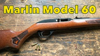 Shooting the Marlin Model 60 [upl. by Wiburg852]