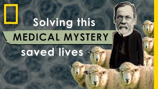 How Solving this Medical Mystery Saved Lives  Nat Geo Explores [upl. by Anirret579]