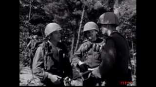 Cease Fire  1953 Korean War Film [upl. by Carlyn719]