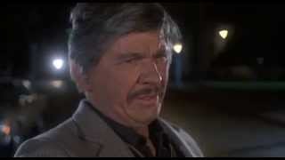 EXCLUSIVE CHARLES BRONSON Interview with Steve Wraith Part 1 [upl. by Mair282]