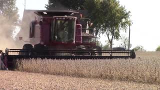 Case IH 2588 AxialFlow Combine Harvesting Soybeans [upl. by Duster]