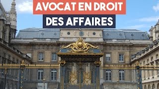 Avocats  la spécialité droit des affaires [upl. by Lonier660]