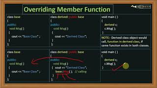 Function Overriding In C  C Tutorial for Beginners [upl. by Felecia]