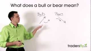 What Does a Bull and Bear Mean in the Stock Market [upl. by Anaeli]