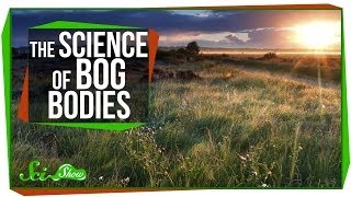 Chemistry amp Corpses The Science of Bog Bodies [upl. by Pansy]