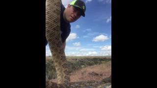 How to kill a Rattlesnake Properly [upl. by Oruasi]